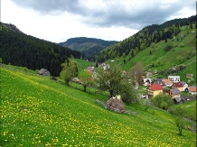 Vila Natura - cazare Rucar - Bran, Moeciu (16)
