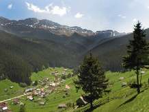 Vila Natura - cazare Rucar - Bran, Moeciu (17)