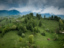 Vila Natura - cazare Rucar - Bran, Moeciu (27)