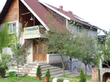 Pensiunea Daniela - accommodation in  Fagaras and nearby, Transfagarasan (01)