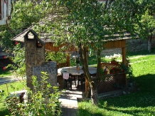 Pensiunea Daniela - accommodation in  Fagaras and nearby, Transfagarasan (05)