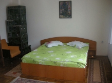 Pensiunea Daniela - accommodation in  Fagaras and nearby, Transfagarasan (12)