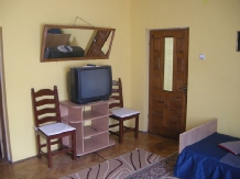 Pensiunea Daniela - accommodation in  Fagaras and nearby, Transfagarasan (14)