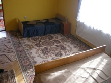 Pensiunea Daniela - accommodation in  Fagaras and nearby, Transfagarasan (15)