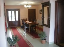 Pensiunea Daniela - accommodation in  Fagaras and nearby, Transfagarasan (16)