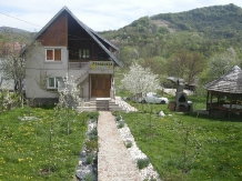 Pensiunea Daniela - accommodation in  Fagaras and nearby, Transfagarasan (23)