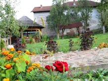 Pensiunea Daniela - accommodation in  Fagaras and nearby, Transfagarasan (32)