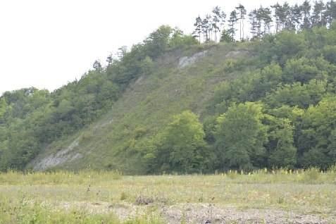 Zestrea Bunicilor - cazare Moldova (Activitati si imprejurimi) Zestrea Bunicilor - cazare Moldova (Activitati si imprejurimi)