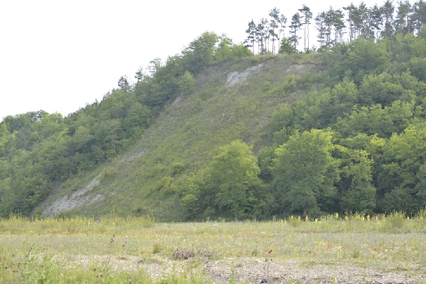 Zestrea Bunicilor - alloggio in  Moldova (Attivit&agrave; e i dintorni)