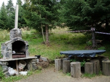 Vila Ioana - accommodation in  Hateg Country (03)