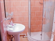 Vila Ioana - accommodation in  Hateg Country (08)