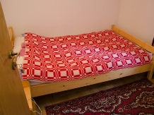 Vila Ioana - accommodation in  Hateg Country (11)