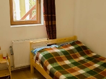 Vila Ioana - accommodation in  Hateg Country (12)