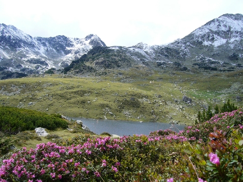 Vila Ioana - accommodation in Hateg Country (Surrounding) Vila Ioana - accommodation in Hateg Country (Surrounding)
