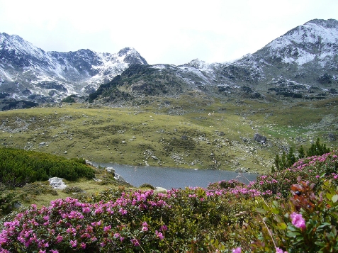 Vila Ioana - alloggio in  Tara Hategului (Attivit&agrave; e i dintorni)