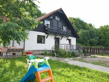 Casa Sirbu - accommodation in  Rucar - Bran, Moeciu, Bran (51)