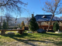 Cabana Neica - accommodation in  Maramures Country (33)