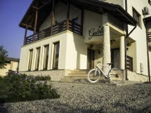 Pensiunea Gabriel - accommodation in  Danube Boilers and Gorge (02)