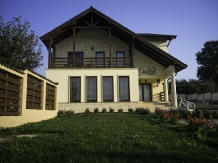 Pensiunea Gabriel - accommodation in  Danube Boilers and Gorge (06)