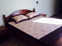 Pensiunea Daniela - accommodation in  Transylvania (03)