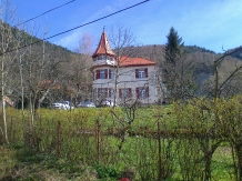 Castel Iezer - cazare Depresiunea Brasovului (01)