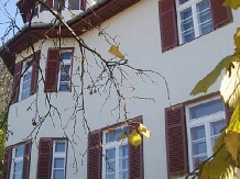 Castel Iezer - cazare Depresiunea Brasovului (03)