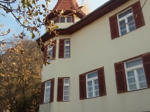 Castel Iezer - cazare Depresiunea Brasovului (09)