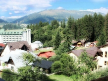 Serban Cottage - cazare Vatra Dornei, Bucovina (01)