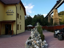 Pensiunea Narcisa - accommodation in  Transylvania (04)