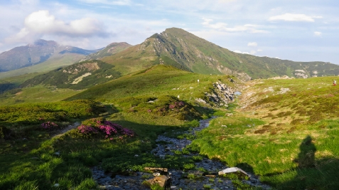 Casa Olimpia - alloggio in  Tara Maramuresului (Attivit&agrave; e i dintorni)