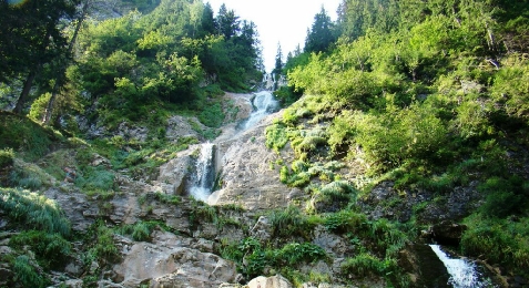 Casa Olimpia - cazare Tara Maramuresului (Activitati si imprejurimi) Casa Olimpia - cazare Tara Maramuresului (Activitati si imprejurimi)