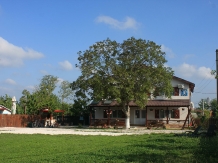 Pensiunea Bunica Maria - accommodation in  Danube Delta (03)