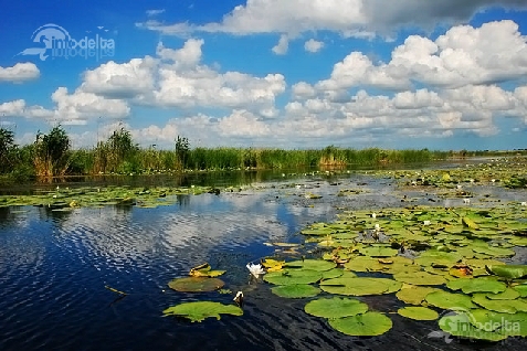 Pensiunea Bunica Maria - accommodation in  Danube Delta (Surrounding)