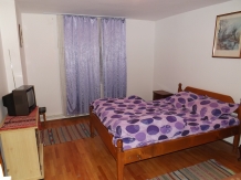 Casa Cuciubac - accommodation in  Fagaras and nearby, Transfagarasan (12)