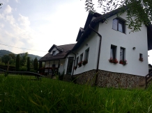 Pensiunea Sandra - accommodation in  Rucar - Bran, Moeciu, Bran (02)