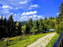 Cabana Roua - alloggio in  Vatra Dornei, Bucovina (26)
