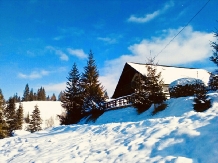 Cabana Roua - accommodation in  Vatra Dornei, Bucovina (29)