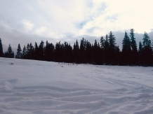Cabana Roua - alloggio in  Vatra Dornei, Bucovina (35)