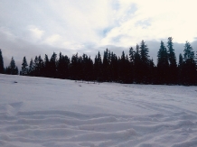 Cabana Roua - cazare Vatra Dornei, Bucovina (35)