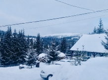 Cabana Roua - accommodation in  Vatra Dornei, Bucovina (39)