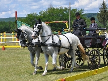 Vila Lorin - cazare Transilvania (09)