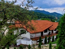 Pensiunea Green Zone - accommodation in  Valea Doftanei (02)