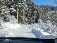 Pensiunea Green Zone - cazare Valea Doftanei (10)