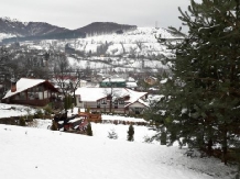 Pensiunea Green Zone - accommodation in  Valea Doftanei (13)