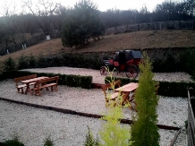 Pensiunea Green Zone - accommodation in  Valea Doftanei (41)