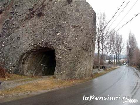 Pensiunea Green Zone - accommodation in  Valea Doftanei (Surrounding)