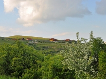 Pensiunea Cheile Apusenilor - accommodation in  Apuseni Mountains (33)