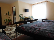 Pensiunea Bryanna - accommodation in  Maramures Country (21)