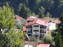 Pensiunea Pasul Schiorilor - alloggio in  Valle di Prahova (03)