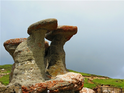 Pensiunea Pasul Schiorilor - accommodation in  Prahova Valley (Surrounding)